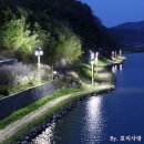창원축구센터 보조2.3구장(천연잔디) | 창원축구센터 그리고 밀양 야간 벚꽃