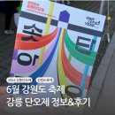 남대천단오장 | 강원도 6월 축제 2024 강릉 단오제 먹거리, 단오장 놀거리 후기