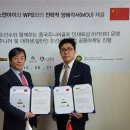 수 스포테인먼트