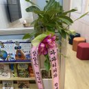 파파티쳐코칭영어학원