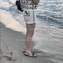 세븐일레븐 강릉포남중앙점 | /강릉/1박2일 1일차 강릉여행 강릉 길감자 강릉중앙시장 베리베리딸기 제제스토어