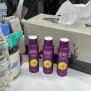 (주)레디메 | DEC 1, 2,3 | 연말을 연말답게