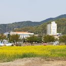 선산퇴비 이미지