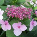 연암축산 이미지