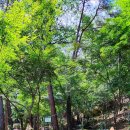 화왕산자연휴양림 이미지