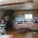 전원애견 이미지