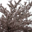 승학체육공원 이미지