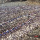 기역농장 이미지