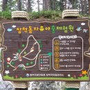 삼척동자 유아숲체험원 이미지