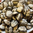 참새방앗간 | [서울맛집] 영등포 당산 노포감성술집추천 돼지찌개 꼬막맛집 참새방앗간 후기