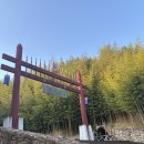 죽녹원 | [전남/담양] 담양와서 꼭 들러야 하는 대나무숲 🎋 <죽녹원> 후기