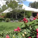 강국농장 이미지