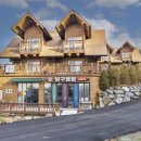 대천통나무소나무펜션 이미지