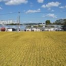 하대동406 이미지