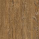 에코레이 이미지