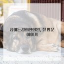 활력한의원 이미지