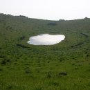 금오름 가는 길 이미지