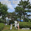 싱싱애 | 이천 와우목장 체험 아이들이 정말 좋아해요!