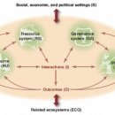 공유지의 비극 이미지