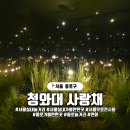 서울 종로 놀거리 추천 청와대 사랑채, 조선 왕실 밤잔치 전시 연화 탐방기