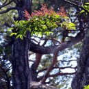 전망좋은곳 이미지