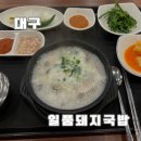 대구 일품돼지국밥 죽전본점과 북부정류장점 솔직 후기
