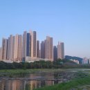 순천-59호 이미지