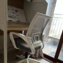 네오쇼핑 | 초등 남자아이 둘 키우는 집 선택, 네오체어 CPS 메쉬 사무용 의자 사용 후기