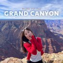 라스베가스 | 미서부 여행 그랜드캐년 1박 2일 투어 라스베가스 출발 내돈내산 후기