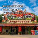 여행] 에버랜드 뺨치는 스케일! 판다부터 백호까지 다 있는 '창룽 야생동물원' 영혼까지 털고 온 후기 🐼