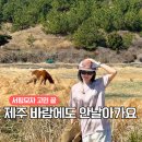 상모리-3 | 제주 바람에도 안 날아가는 모자 그린웨이브 서프햇 후기 서핑모자 추천