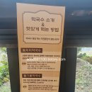 정족리동치미막국수