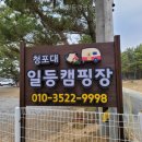 푸른일등