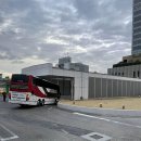죠이랜드 | [도쿄] 3박4일 자유여행 中