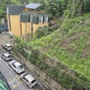 중앙동199 이미지