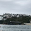 다움food | Hong Kong : the greatest food city(5) / 홍콩 여행 기분좋게 하기 위한 꿀팁