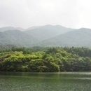장수송학골로 이미지