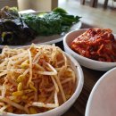 한우군돈순이 이미지