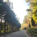 주)보성 | 전남 아이랑 가볼만한 곳 보성 제암산자연휴양림 곰썰매