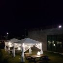 블랙카우 이미지