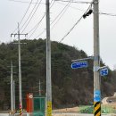 서주길(와룡면) 네이버블로그