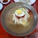 숲실밀면 | 포항 오천 시원한 밀면 맛집 l 영일만숲실밀면본점