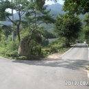 외송중앙길 이미지