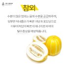 여우공간필라테스 네이버블로그