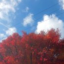 남해군 풍경 | 남해 바람흔적미술관 후기｜바람과 예술이 만든 가을 풍경