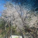 만덕초등학교 | 교육활동보호센터 찾아가는 집단상담 프로그램 아로마테라피 교직원연수 부산만덕초등학교, 바른향기연구소