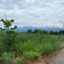 동영목장 이미지