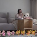 조이풀하우스 이미지