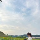 만지아(Mangia) 이미지