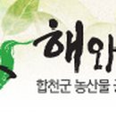 합천우리식품 이미지